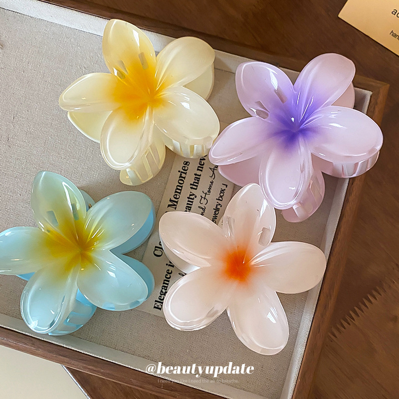 Crystal Flower Acrylic Hair Cl - đánh giá và giá Travel Accessories Hong Kong