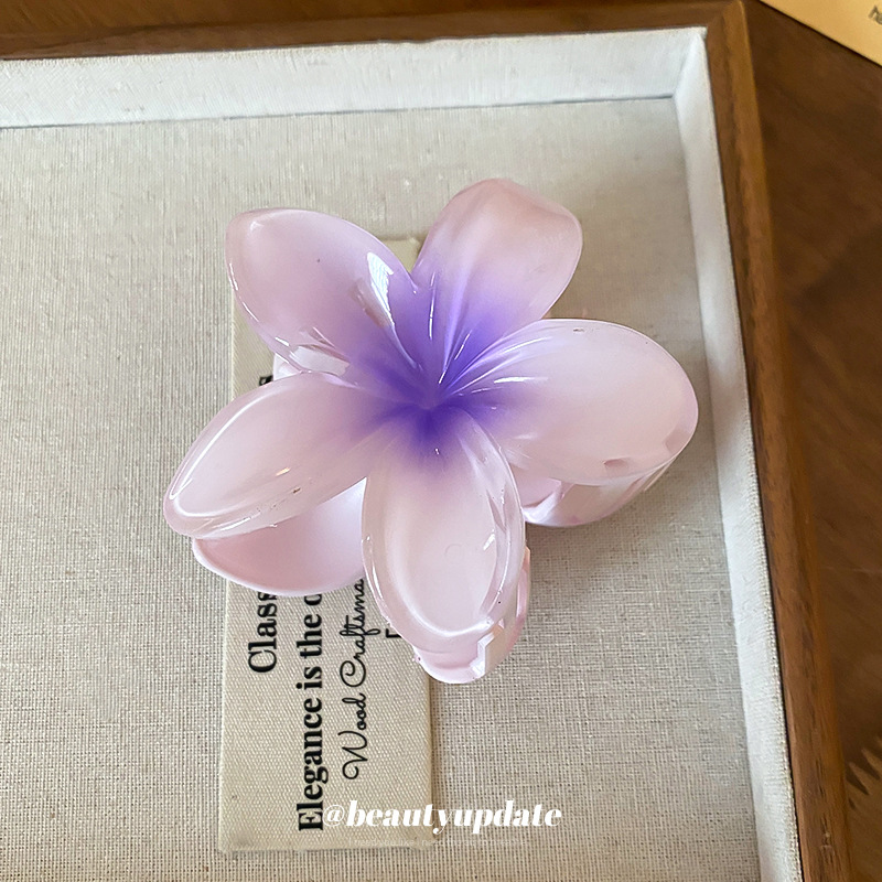 Crystal Flower Acrylic Hair Cl - đánh giá và giá Travel Accessories Hong Kong
