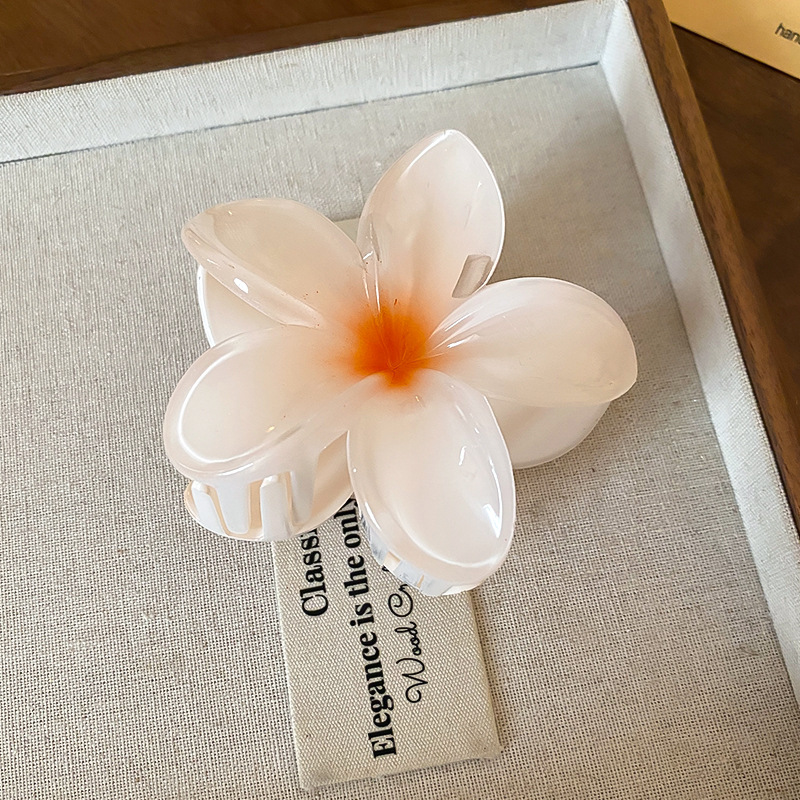 Crystal Flower Acrylic Hair Cl - đánh giá và giá Travel Accessories Hong Kong
