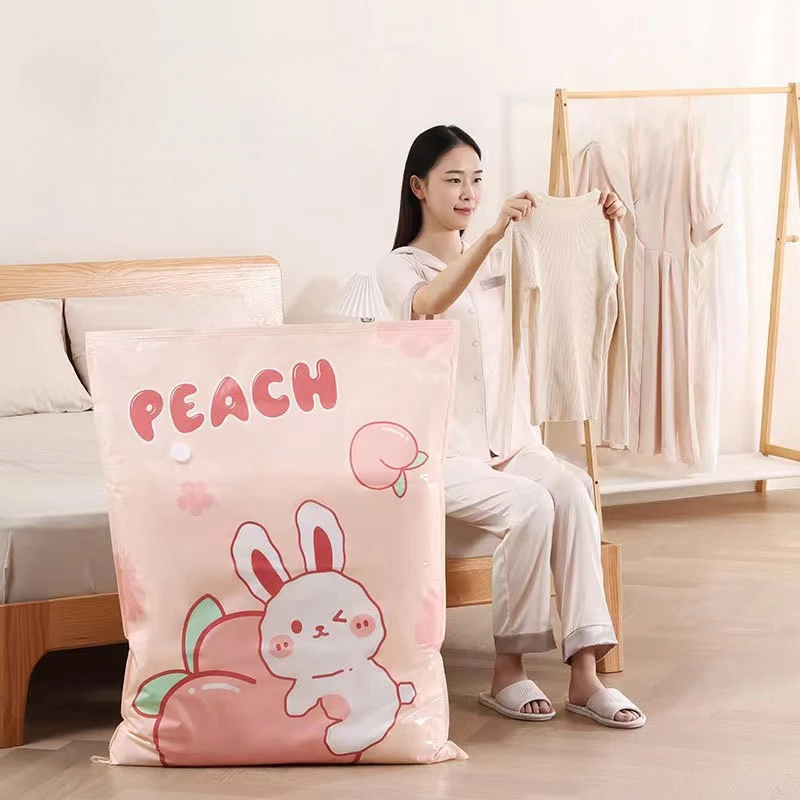 1/4 PCS Travel Moving Compress - đánh giá và giá Compression Bag Vacuum